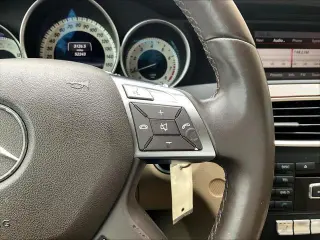 Mercedes-Benz C-Class 2013 C 250 Luxury 4dr Sedan