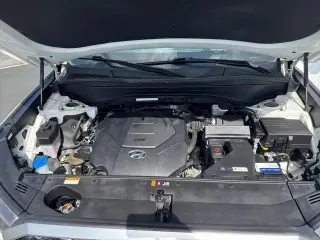 Hyundai PALISADE 2021 AWD Calligraphy 4dr SUV