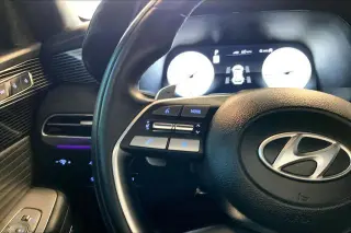 Hyundai PALISADE 2024 AWD Calligraphy 4dr SUV