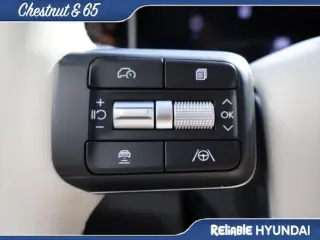 Hyundai SANTA FE 2024 Calligraphy 4dr SUV