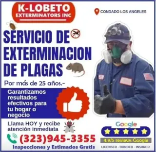 FUMIGACIONES TERMITAS L.A-