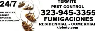 FUMIGACIONES TERMITAS L.A-