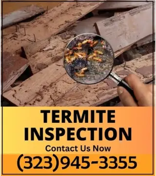 FUMIGACIONES TERMITAS L.A-
