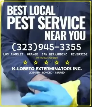 FUMIGACIONES TERMITAS L.A-