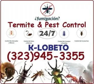 FUMIGACIONES TERMITAS L.A-