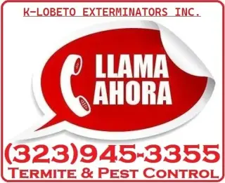 FUMIGACIONES TERMITAS L.A-