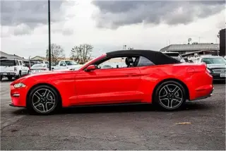 2019 Ford Mustang EcoBoost Pre