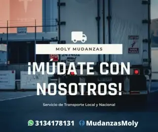 Mudanzas Moly