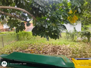 Propiedad para alquilar con 2 dormitorios y 2 baños en Dania