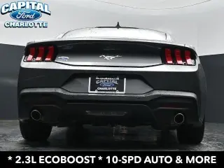 Ford Mustang 2025 EcoBoost 2dr Fastback