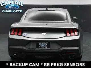 Ford Mustang 2025 EcoBoost 2dr Fastback