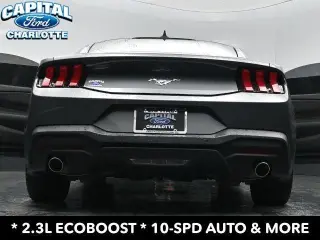 Ford Mustang 2025 EcoBoost 2dr Fastback