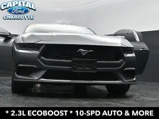Ford Mustang 2025 EcoBoost 2dr Fastback