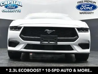 Ford Mustang 2024 EcoBoost 2dr Fastback