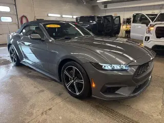 Ford Mustang 2025 EcoBoost Premium 2dr Convertible