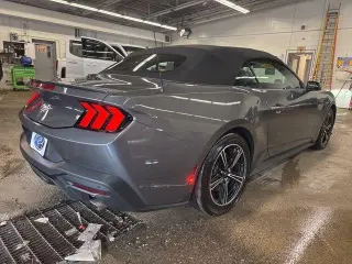 Ford Mustang 2025 EcoBoost Premium 2dr Convertible