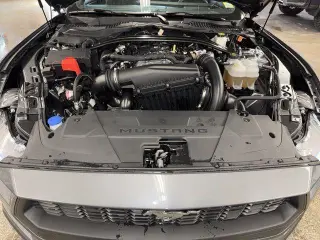 Ford Mustang 2025 EcoBoost Premium 2dr Convertible