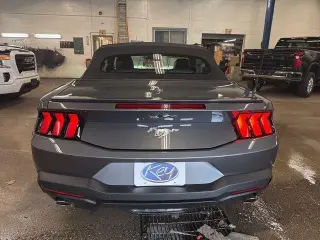 Ford Mustang 2025 EcoBoost Premium 2dr Convertible