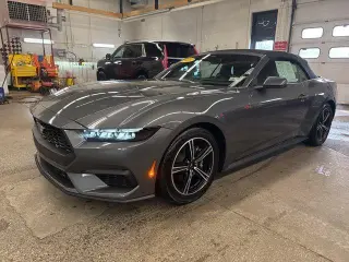 Ford Mustang 2025 EcoBoost Premium 2dr Convertible