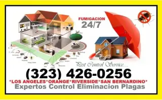 NO DEJES QUE INVADAN TU HOGAR