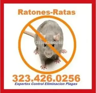 NO DEJES QUE INVADAN TU HOGAR