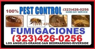 NO DEJES QUE INVADAN TU HOGAR