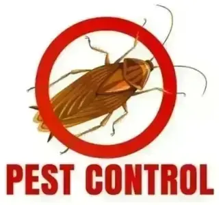 PIÑAS PEST CONTROL🦟🐀🐛