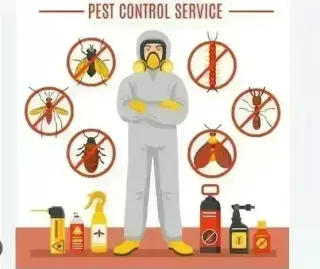 PIÑAS PEST CONTROL🦟🐀🐛