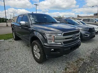 Ford F-150 2019 4x4 Platinum 4dr SuperCrew 5.5 ft. SB