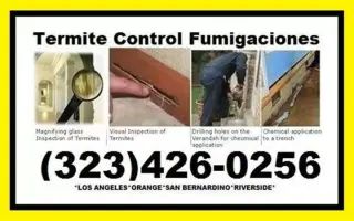 👉PROTEGE TU HOGAR DE TERMITAS