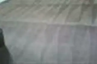 Limpieza De Alfombras