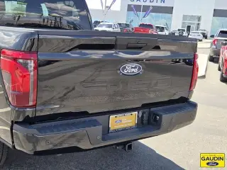 Ford F-150 2024 4x2 STX 4dr SuperCrew 5.5 ft. SB