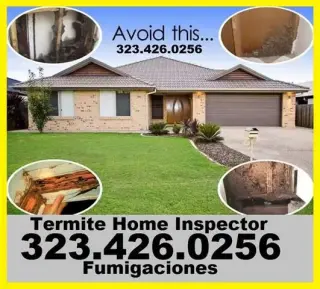 PROTEGE SU CASA DE LAS TERMITA