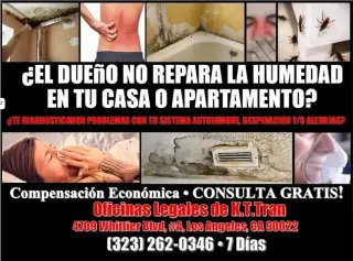 █►ESTAS LASTIMADO?TE CHOCARON?