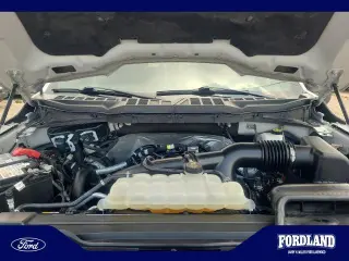 Ford F-150 2023 4x4 XLT 4dr SuperCrew 5.5 ft. SB