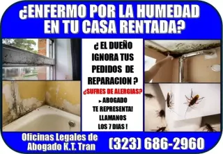 █►DUEÑO NO REPARA? 📞 7 DIAS⚖️