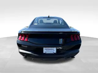 Ford Mustang 2024 EcoBoost 2dr Fastback