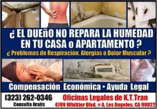 █►🚨LASTIMADO POR ACCIDENTES⁉️