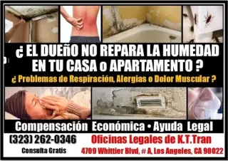 █►ACCIDENTES TRABAJO & AUTO 📞