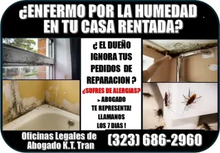 █►ACCIDENTE DE AUTO O TRABAJO?