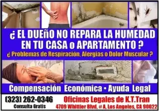 🔥TODO TIPO DE ACCIDENTES 💵📞
