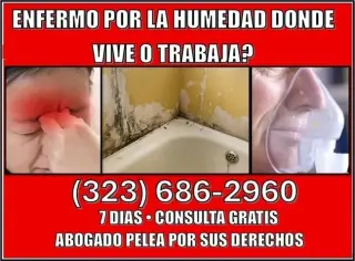 🔥TODO TIPO DE ACCIDENTES 💵📞