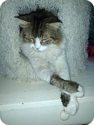 George