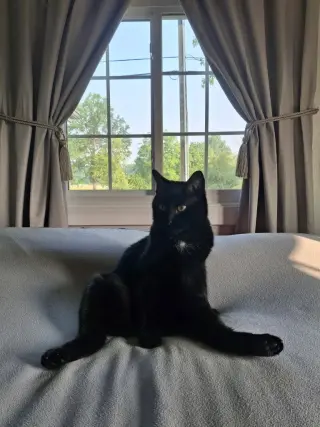 Ebony Blu