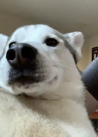 Jack