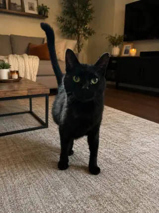 Matilda