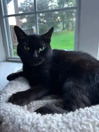 Matilda
