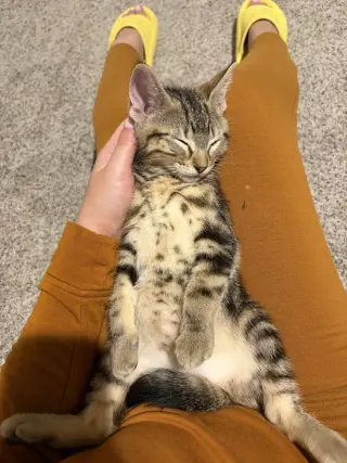 Zuko