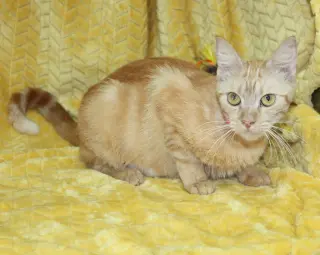 Betty - 44070