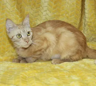 Betty - 44070